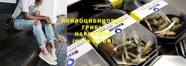мет Белокуриха